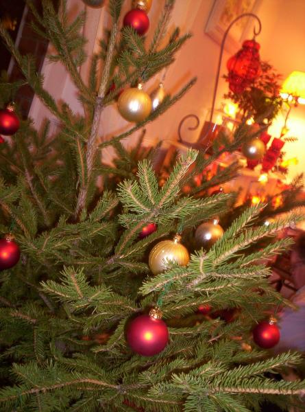 Noël n'est pas un jour ni une saison, c'est un état d'esprit.