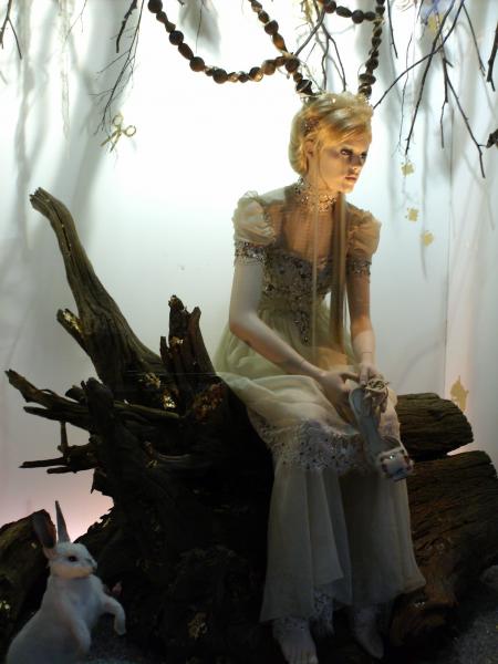 Vitrine des galeries...